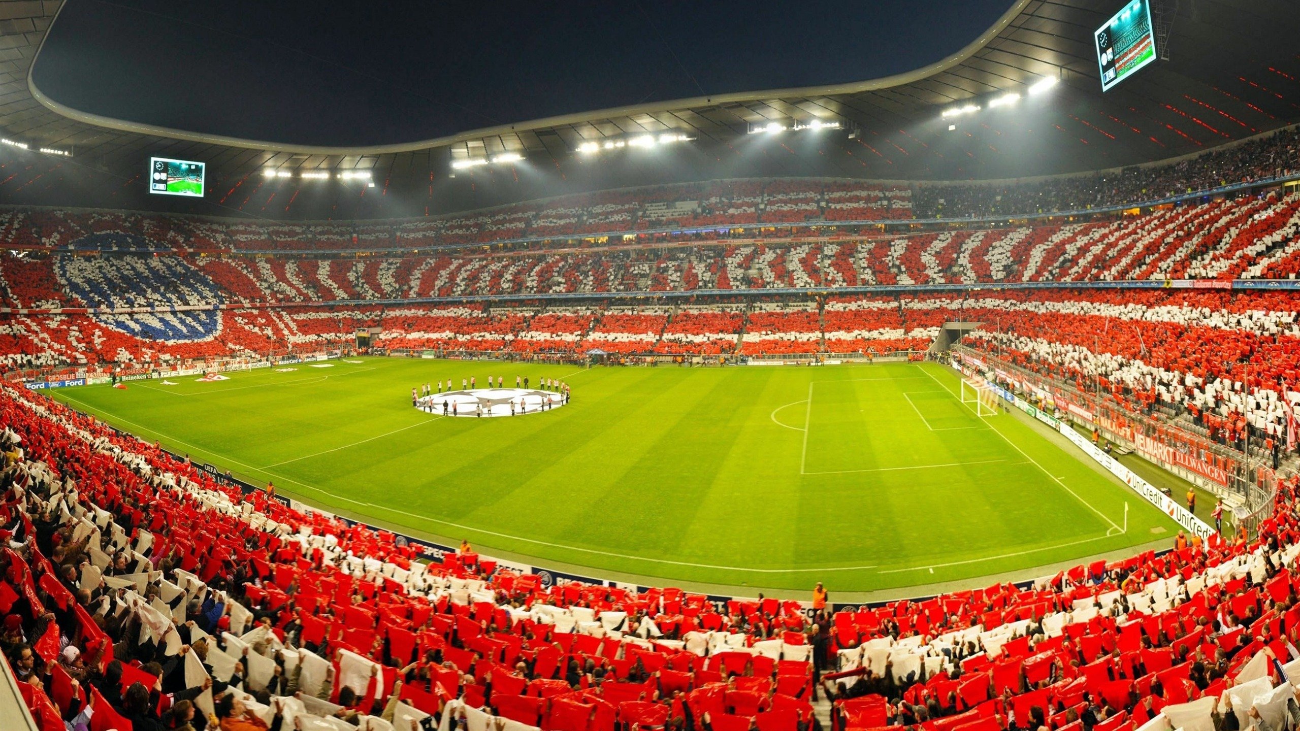 本泽马爆发引领法国晋级，塞内加尔硬仗取胜加拿大显黑马本色