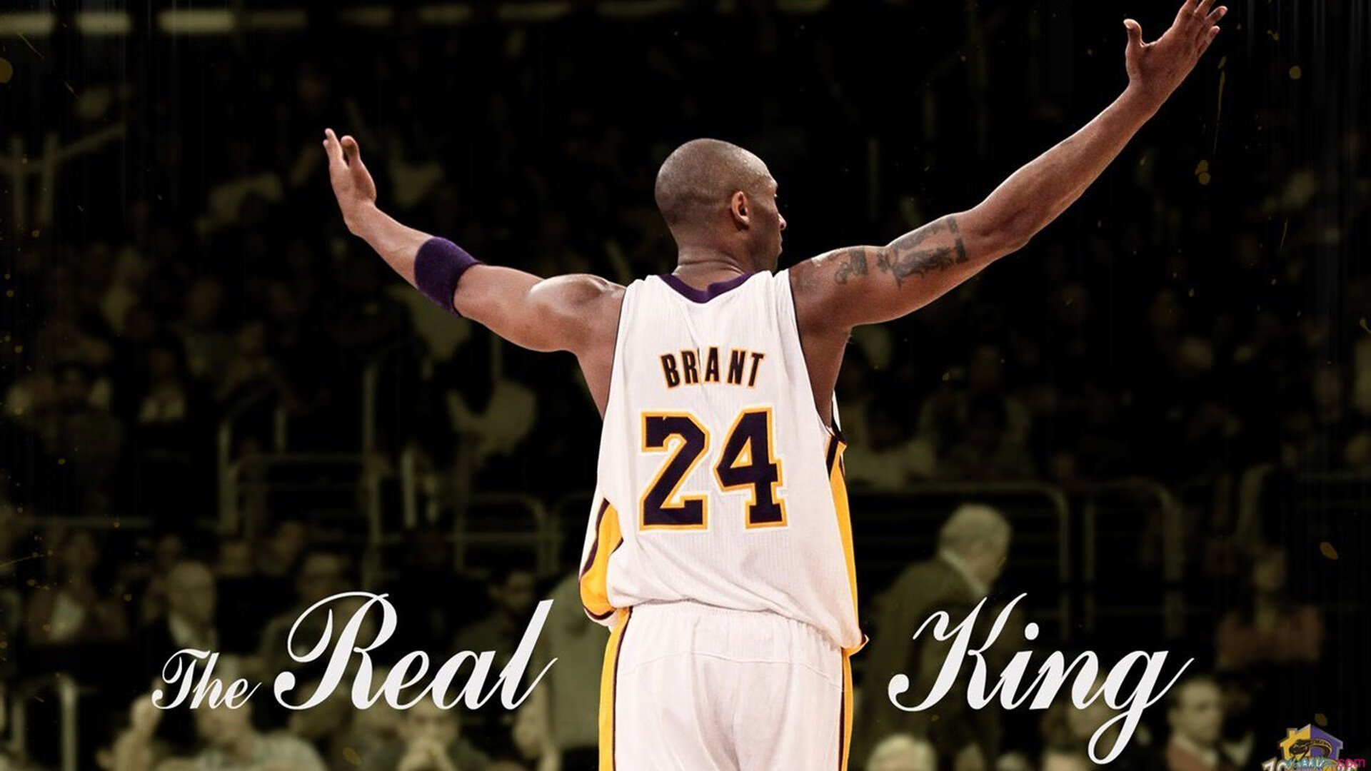 拉梅洛·鲍尔闪耀多伦多,步行者对阵猛龙,新星如何以全能表现主宰赛场